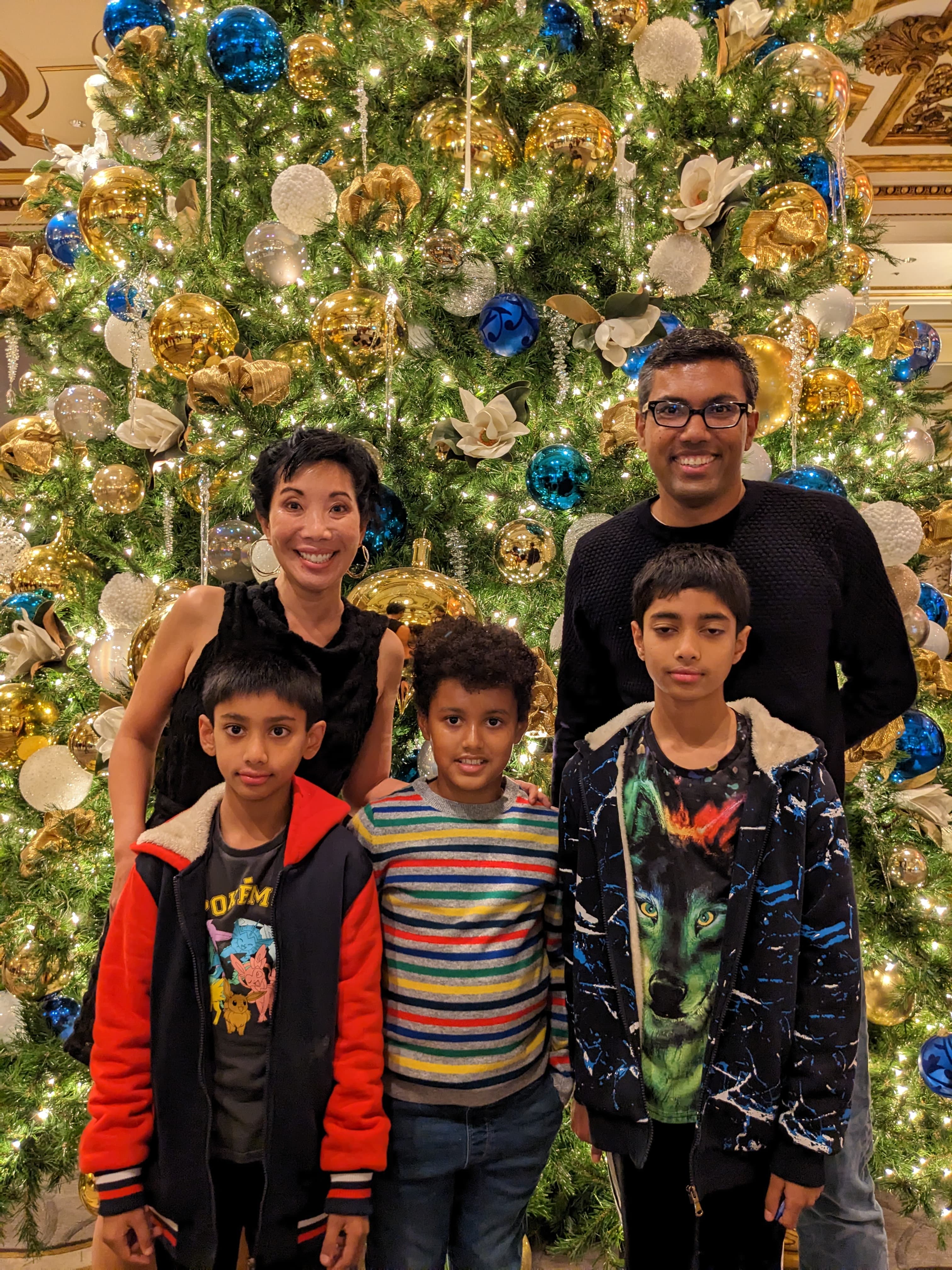 Our family together in front of a holiday tree